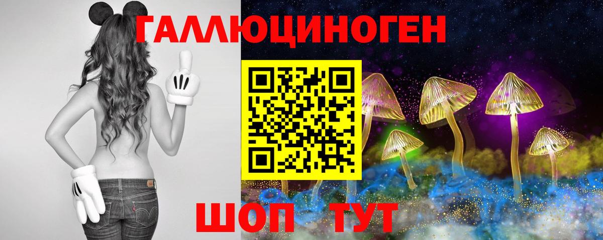 Ярцево  Галлюциногенные грибы Cubensis  Вход с VPN 